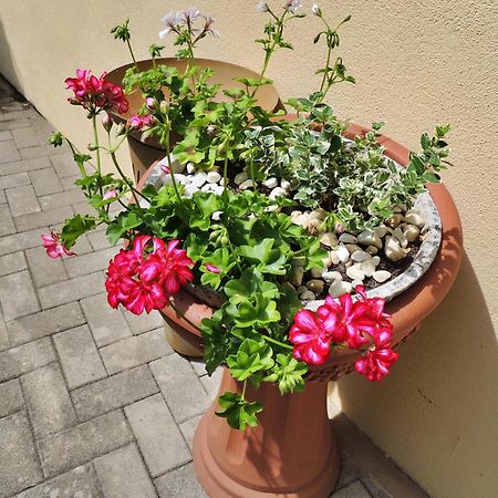 ברנקסטל - קיס Ferienwohnung Goethe מראה חיצוני תמונה